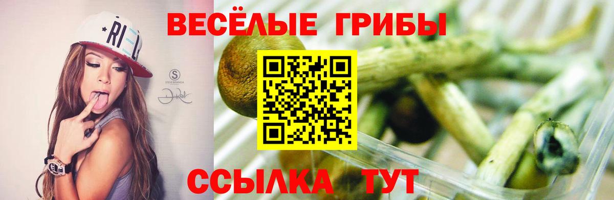 Рыбинск  Галлюциногенные грибы Cubensis  Вход с VPN 