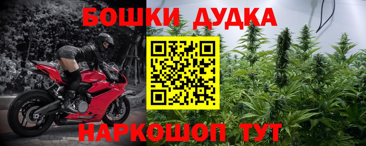 МАРИХУАНА конопля Рыбинск
